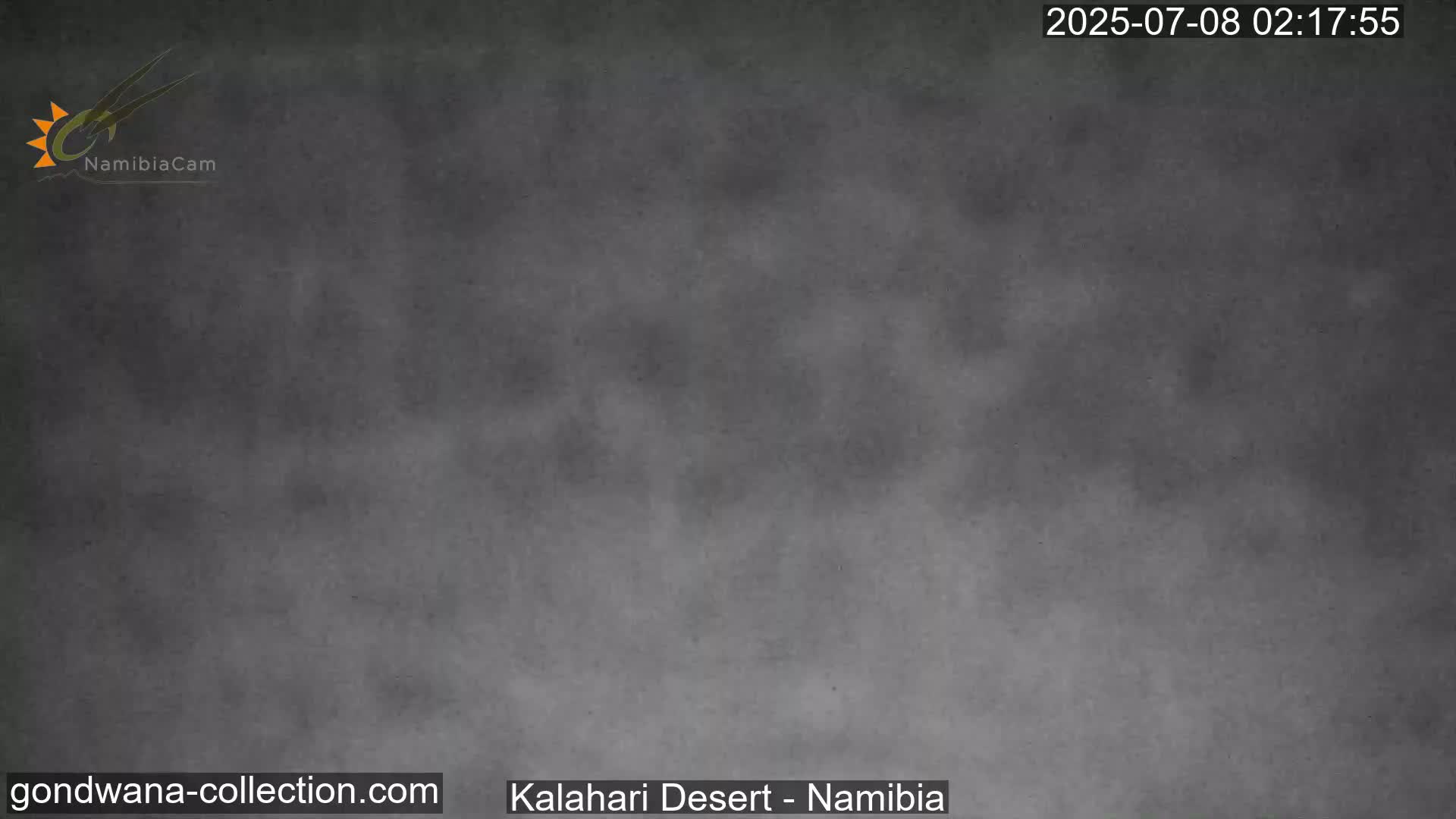 Natural Life in the Kalahari Desert (Gondwana Kalahari Park)  Live Cam - Mariental, Hardap, Namibia
