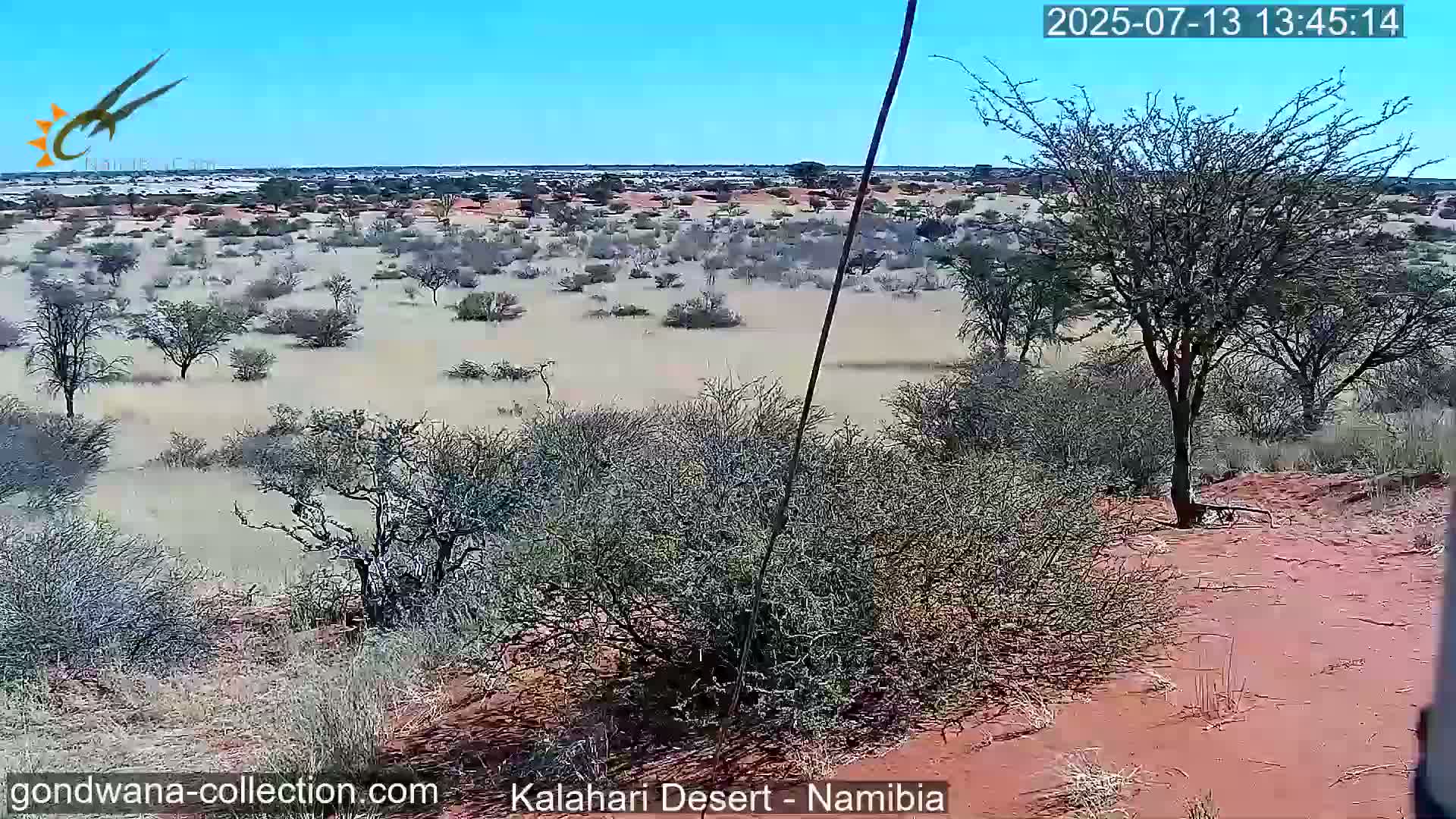 Natural Life in the Kalahari Desert (Gondwana Kalahari Park)  Live Cam - Mariental, Hardap, Namibia