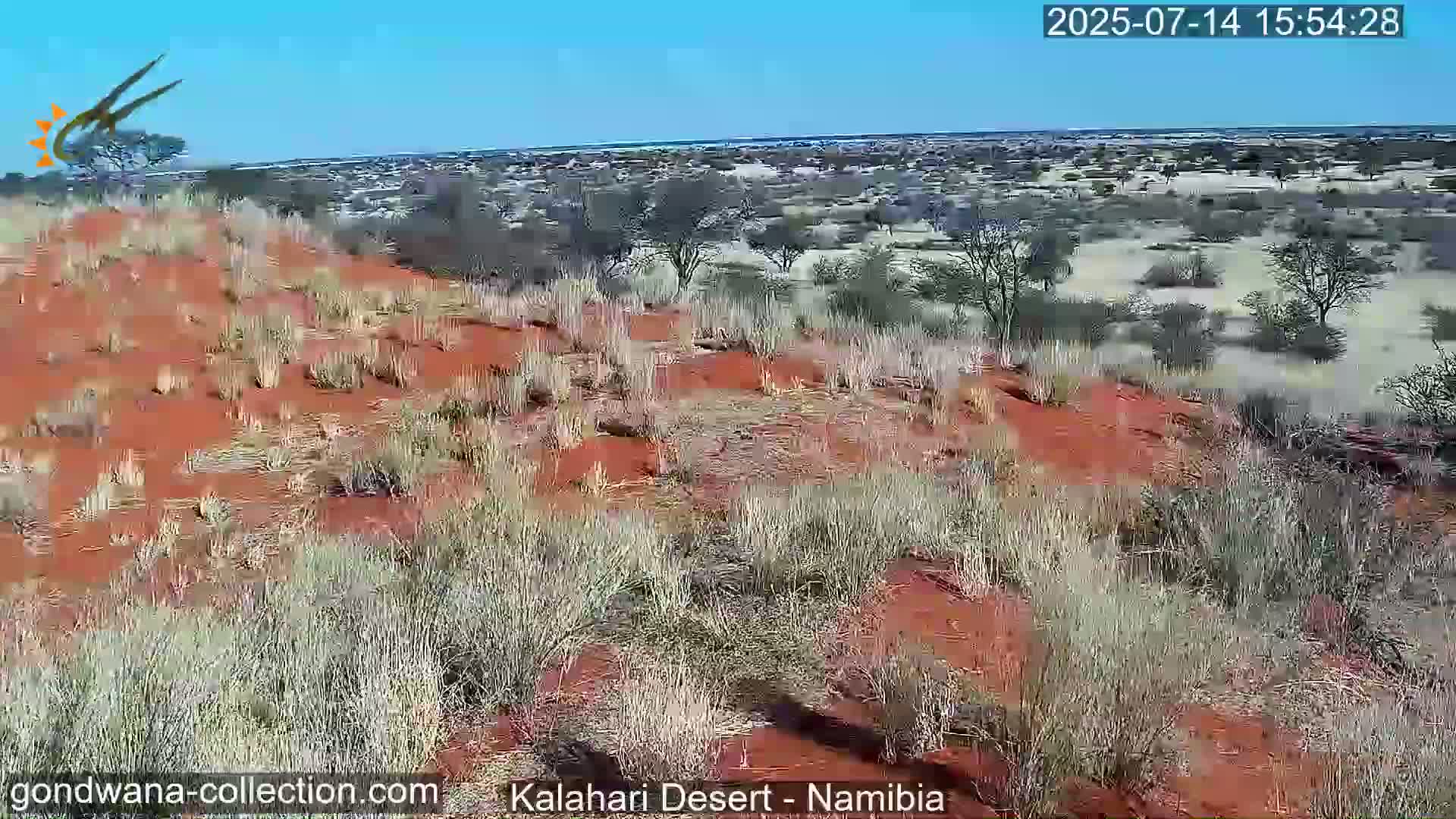 Natural Life in the Kalahari Desert (Gondwana Kalahari Park)  Live Cam - Mariental, Hardap, Namibia