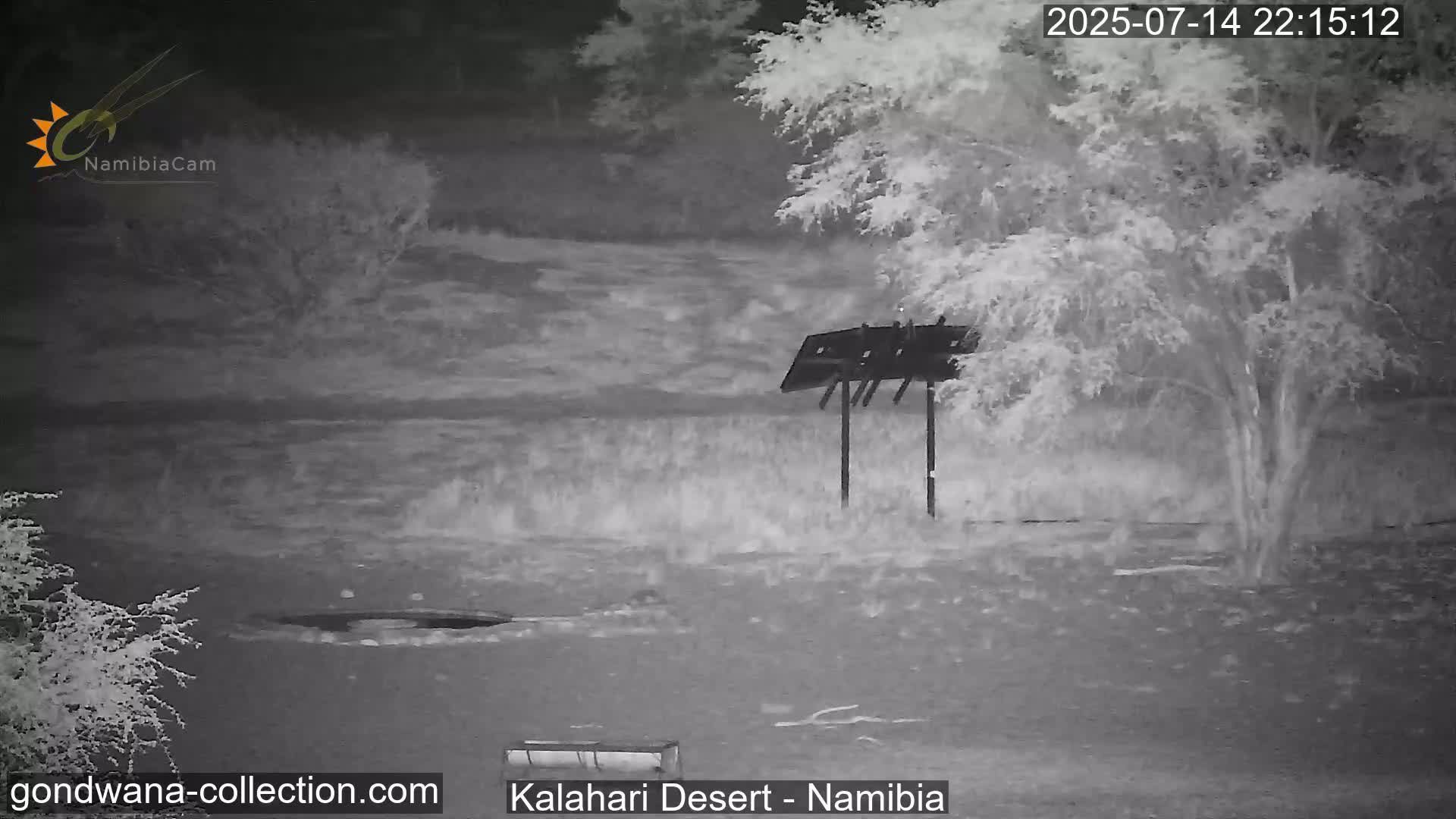 Natural Life in the Kalahari Desert (Gondwana Kalahari Park)  Live Cam - Mariental, Hardap, Namibia