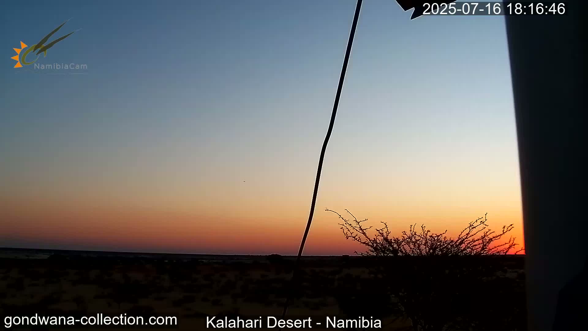 Natural Life in the Kalahari Desert (Gondwana Kalahari Park)  Live Cam - Mariental, Hardap, Namibia
