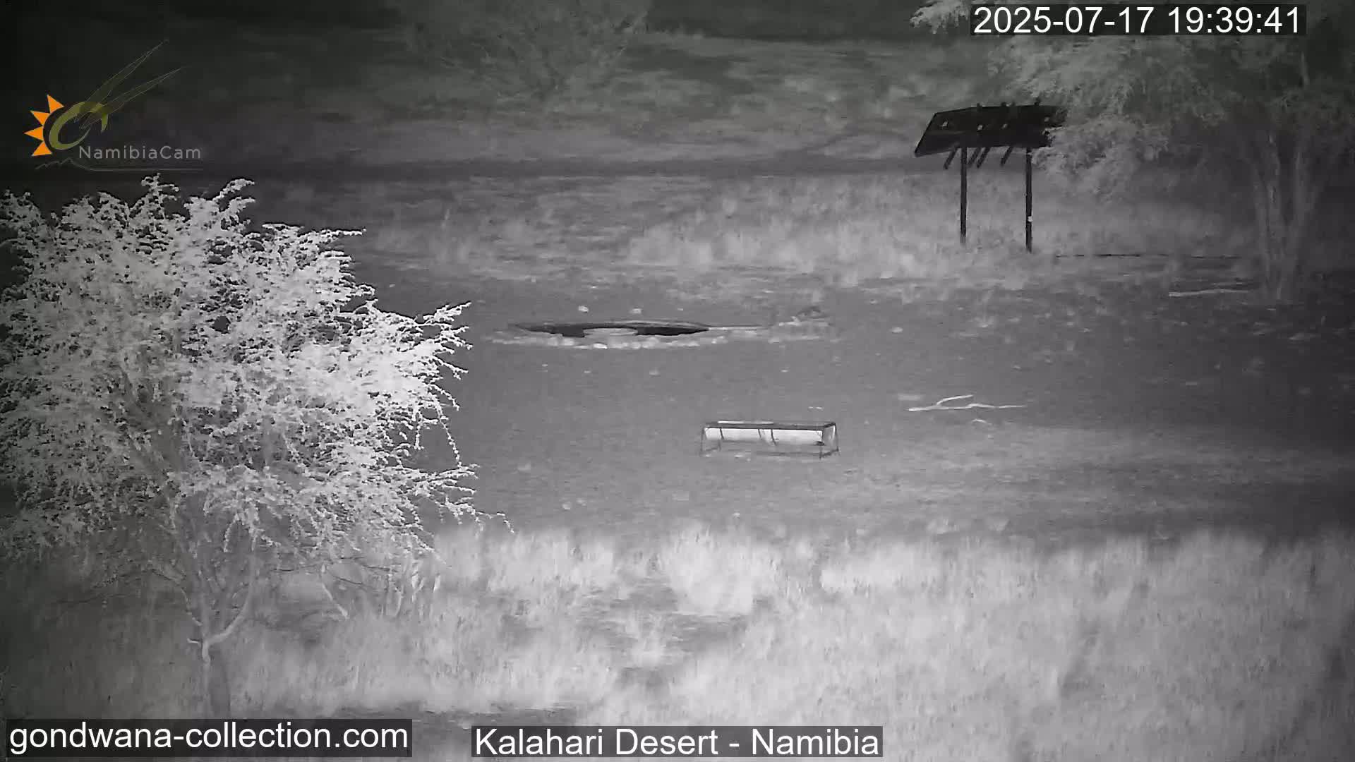 Natural Life in the Kalahari Desert (Gondwana Kalahari Park)  Live Cam - Mariental, Hardap, Namibia