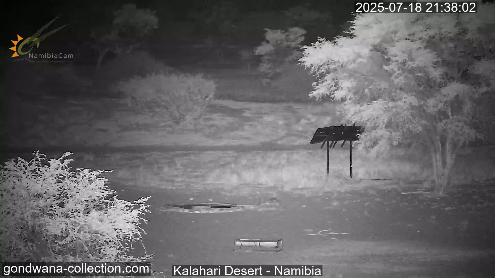 Natural Life in the Kalahari Desert (Gondwana Kalahari Park)  Live Cam - Mariental, Hardap, Namibia
