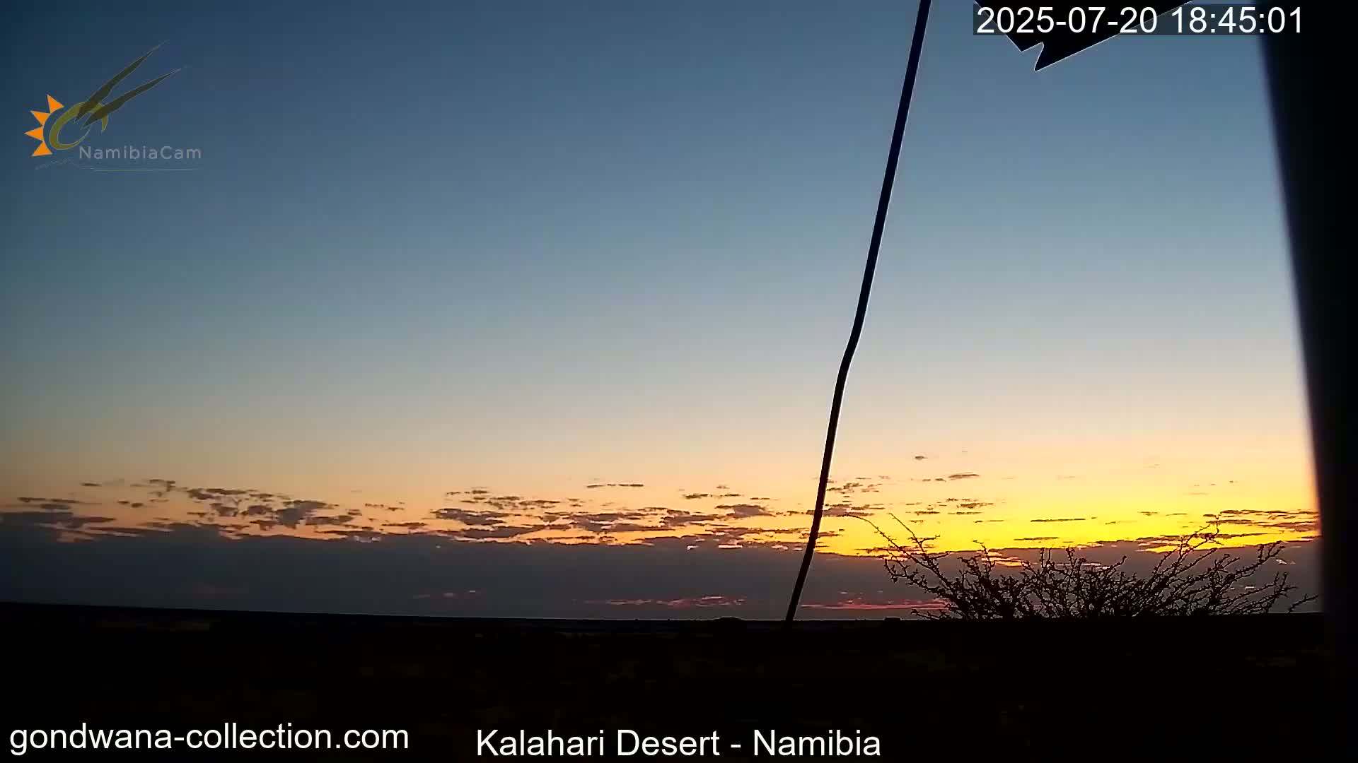 Natural Life in the Kalahari Desert (Gondwana Kalahari Park)  Live Cam - Mariental, Hardap, Namibia