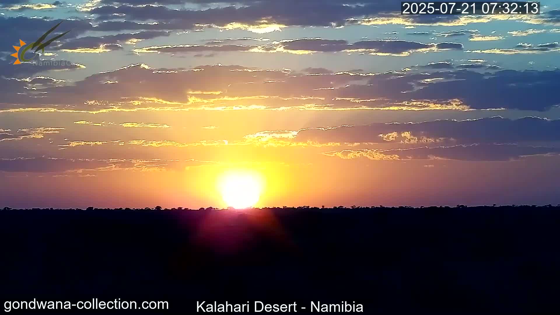 Natural Life in the Kalahari Desert (Gondwana Kalahari Park)  Live Cam - Mariental, Hardap, Namibia