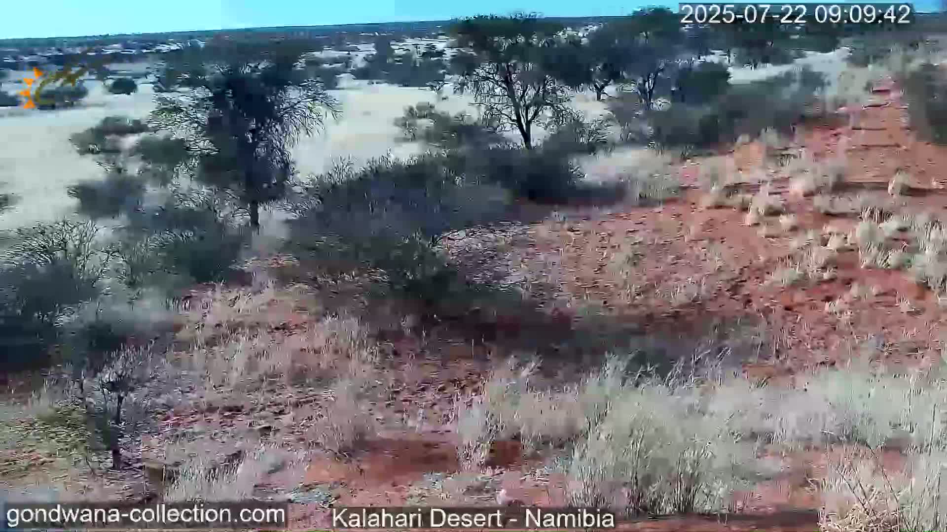 A high-angle view shows a dry, reddish-brown landscape with sparse, dry-looking vegetation and scattered trees under a clear, sunny sky.