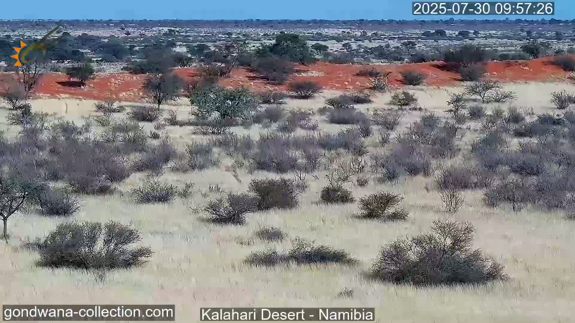 A dry, sparsely vegetated landscape with scattered shrubs and a reddish-brown earth feature under a clear blue sky.