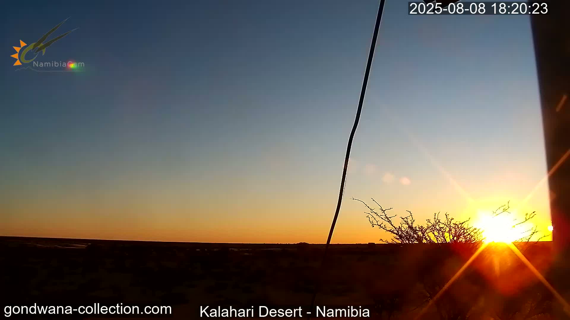 Natural Life in the Kalahari Desert (Gondwana Kalahari Park)  Live Cam - Mariental, Hardap, Namibia