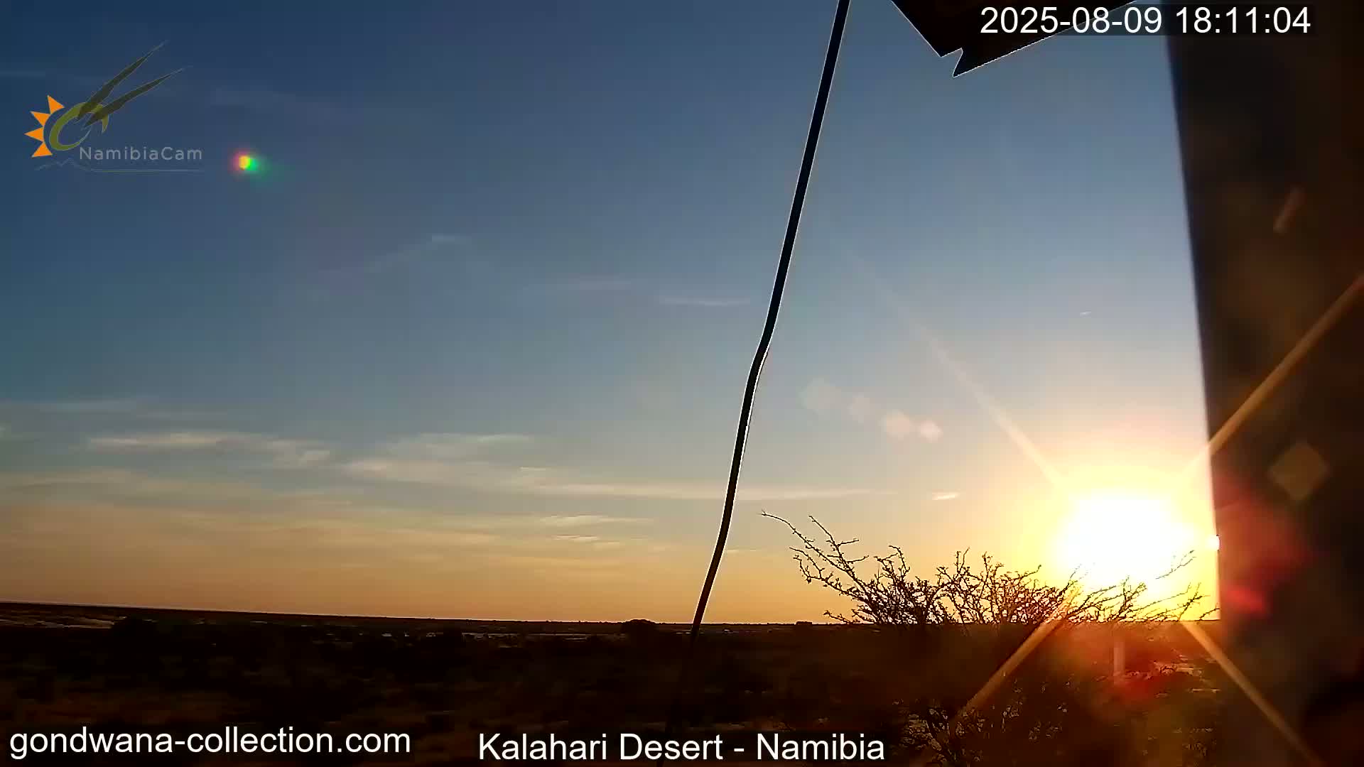 Natural Life in the Kalahari Desert (Gondwana Kalahari Park)  Live Cam - Mariental, Hardap, Namibia
