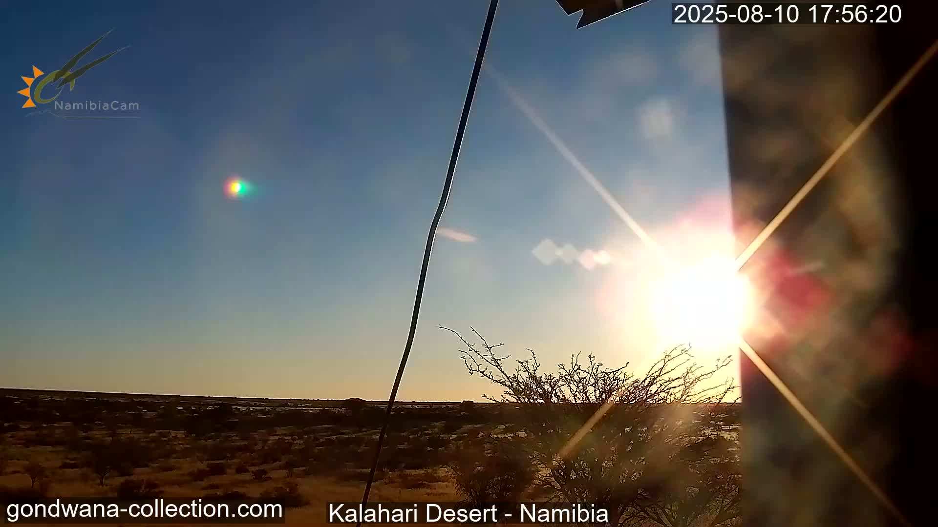 Natural Life in the Kalahari Desert (Gondwana Kalahari Park)  Live Cam - Mariental, Hardap, Namibia