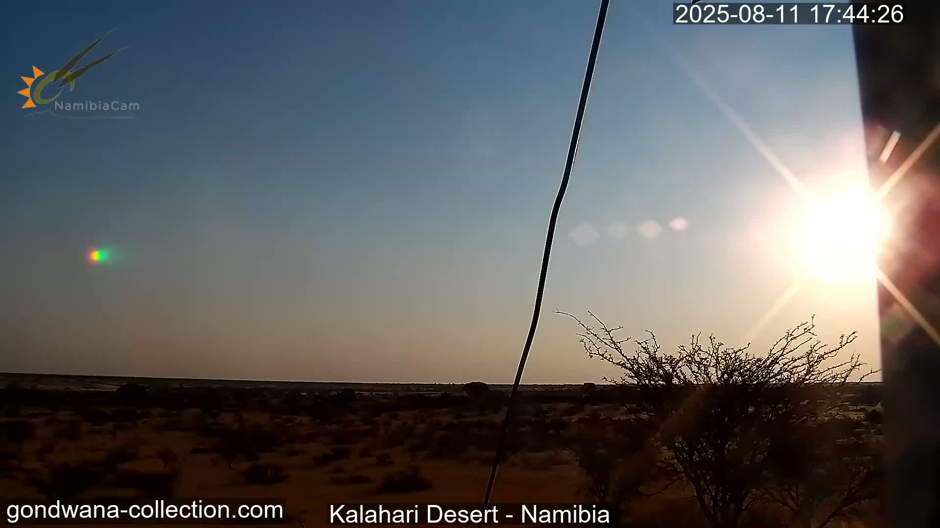 Natural Life in the Kalahari Desert (Gondwana Kalahari Park)  Live Cam - Mariental, Hardap, Namibia