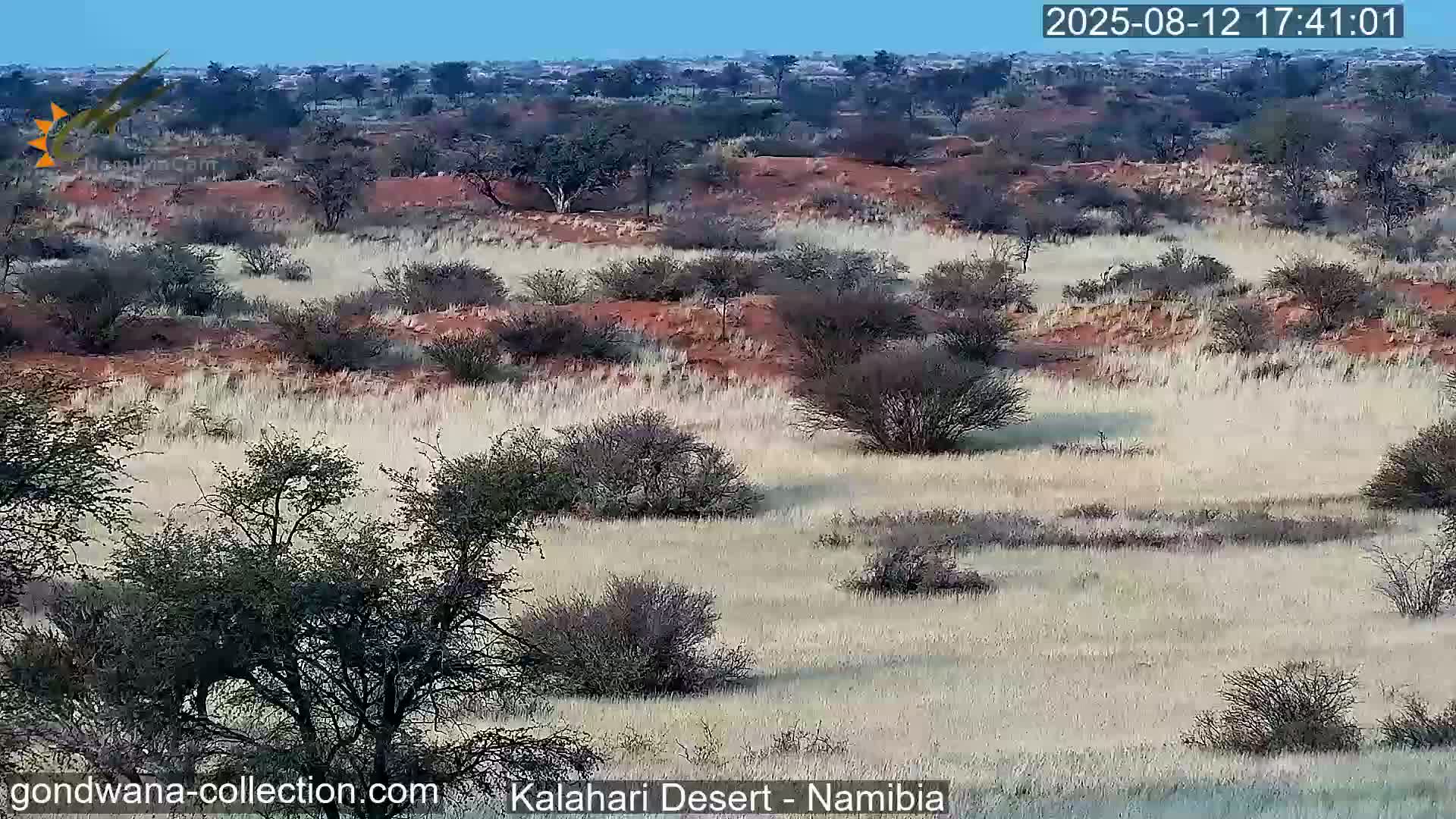 Natural Life in the Kalahari Desert (Gondwana Kalahari Park)  Live Cam - Mariental, Hardap, Namibia
