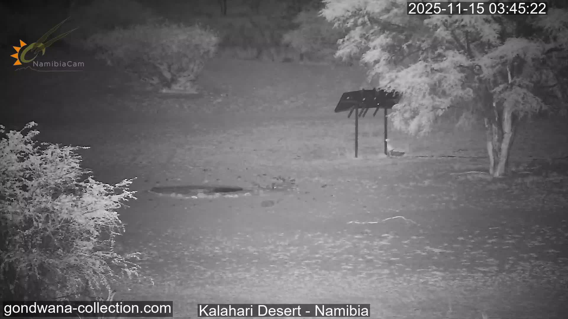A monochrome night scene reveals a sparse outdoor landscape with dry ground, scattered bushes, a small waterhole, and a dark, open-sided structure under clear skies.