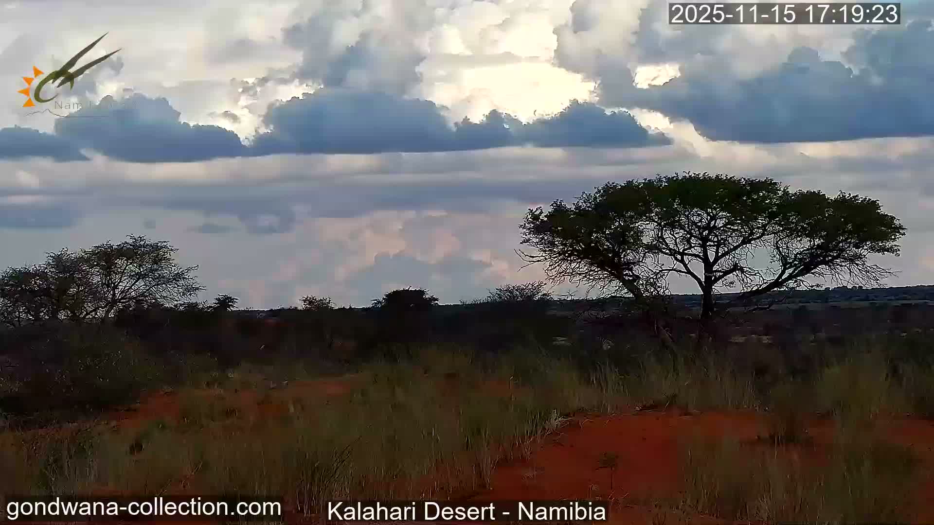Natural Life in the Kalahari Desert (Gondwana Kalahari Park)  Live Cam - Mariental, Hardap, Namibia
