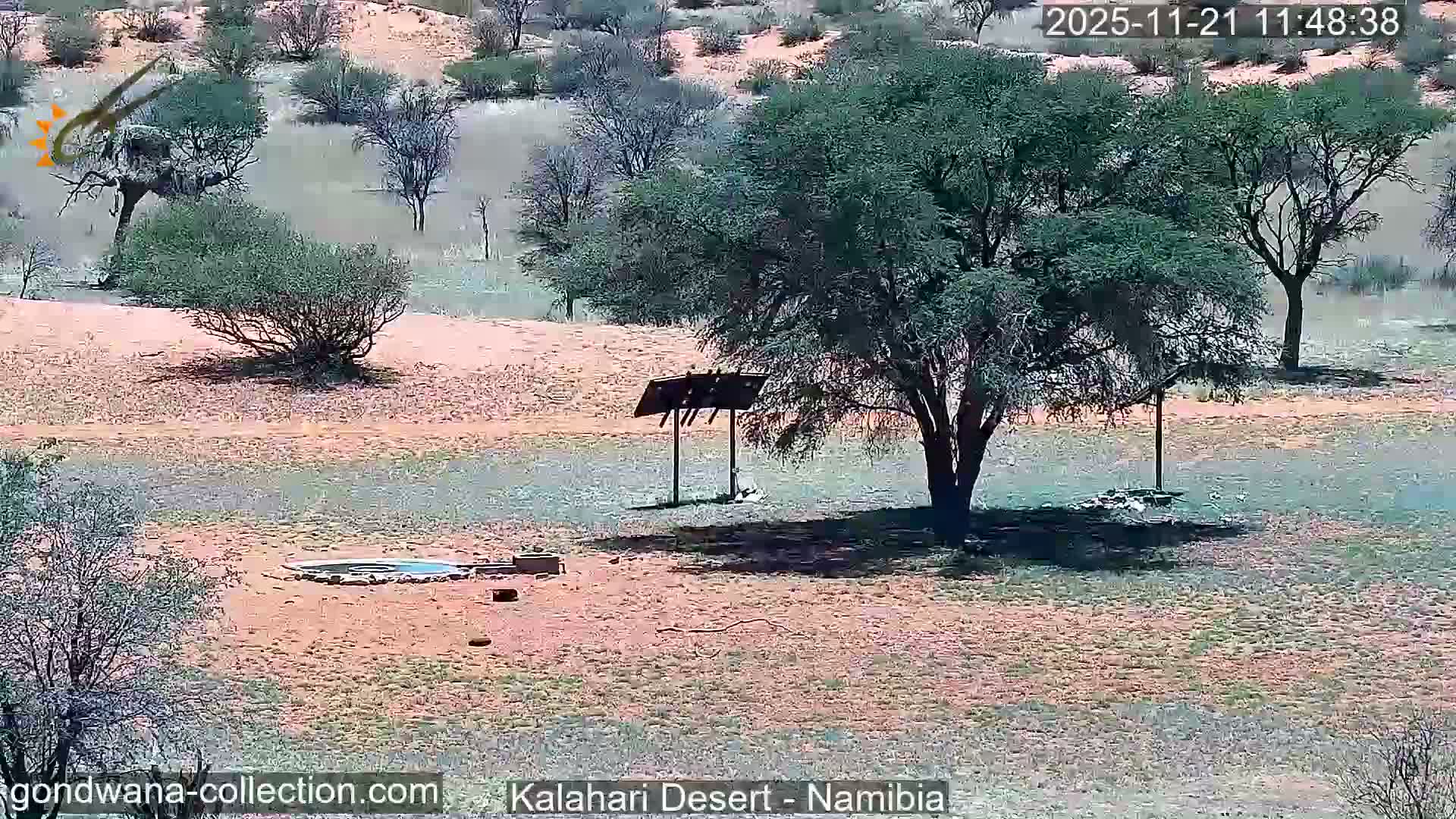 An arid landscape is seen under a clear, sunny sky, featuring scattered green trees, bushes, a solar panel structure, and a small waterhole in the foreground.