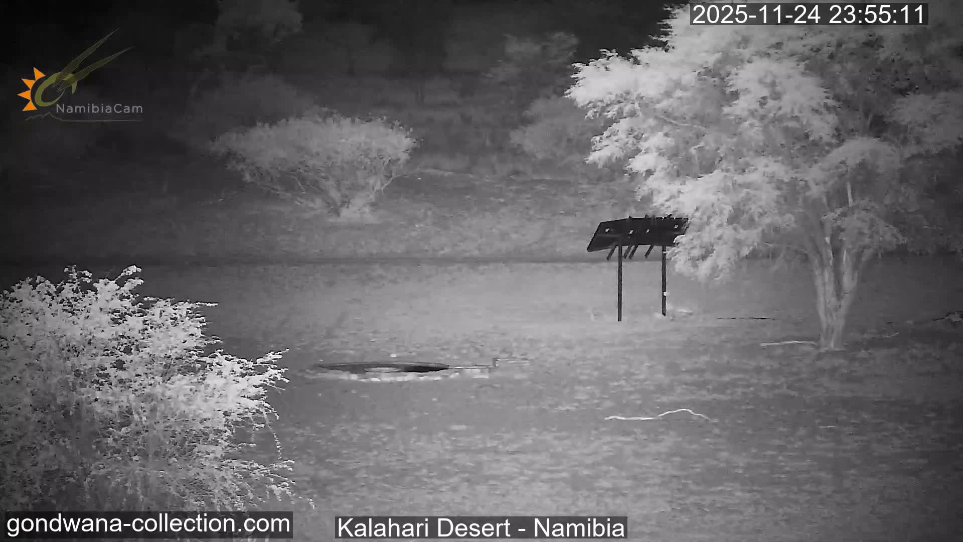 Natural Life in the Kalahari Desert (Gondwana Kalahari Park)  Live Cam - Mariental, Hardap, Namibia