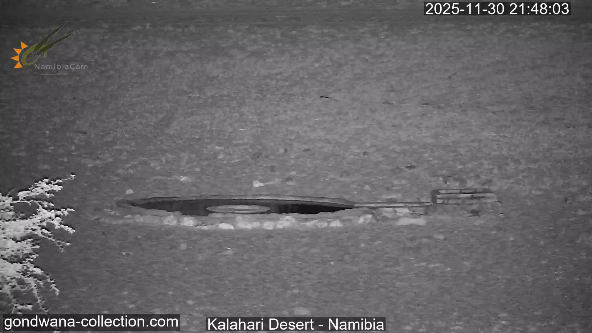 Natural Life in the Kalahari Desert (Gondwana Kalahari Park)  Live Cam - Mariental, Hardap, Namibia