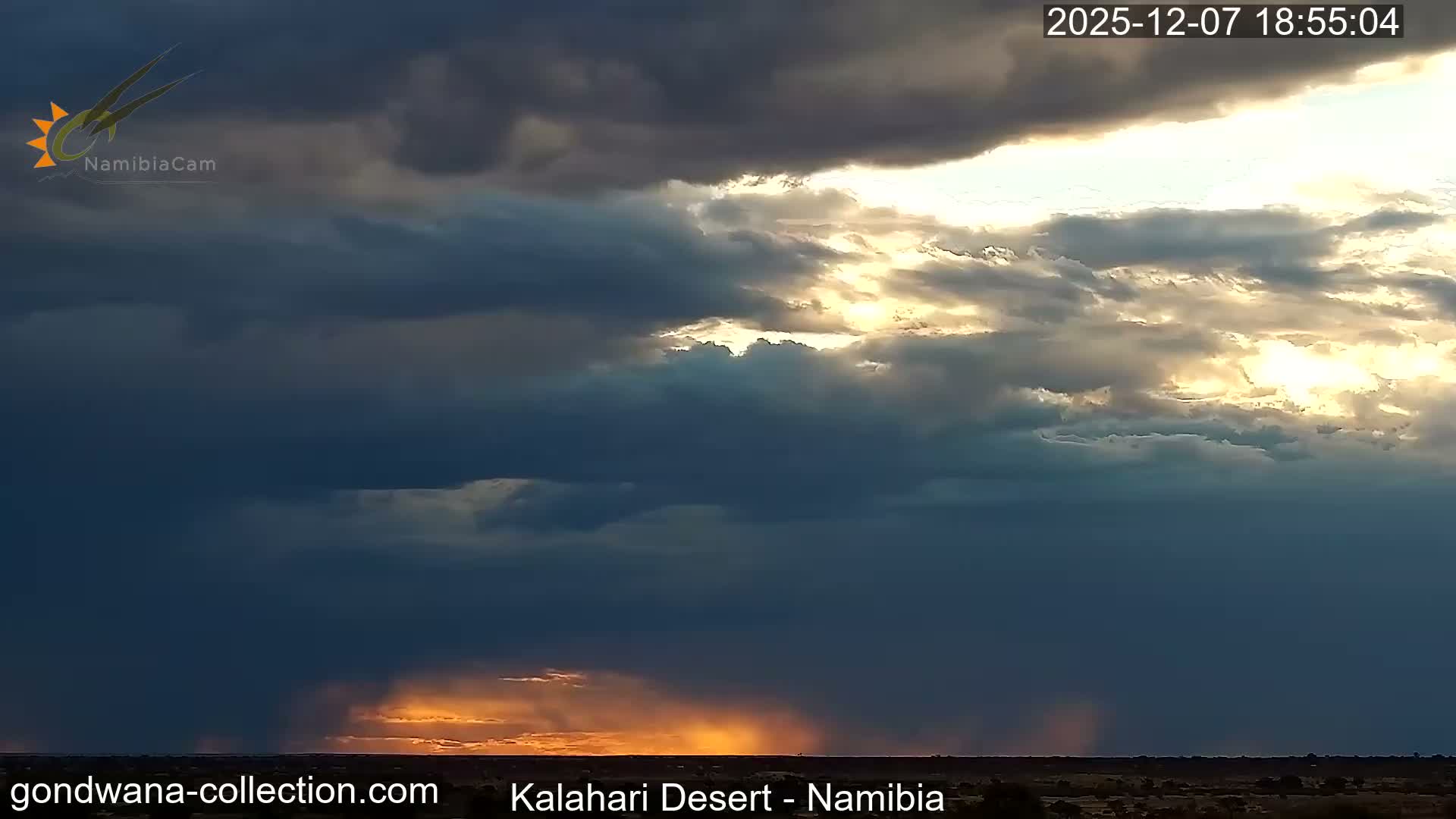 Natural Life in the Kalahari Desert (Gondwana Kalahari Park)  Live Cam - Mariental, Hardap, Namibia