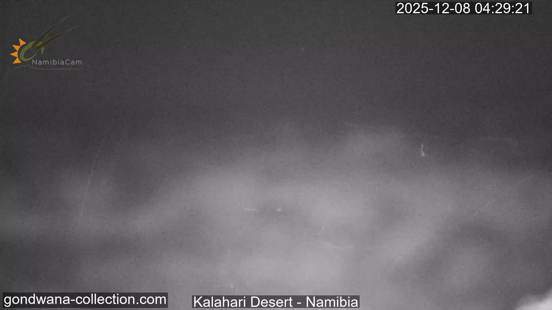 Natural Life in the Kalahari Desert (Gondwana Kalahari Park)  Live Cam - Mariental, Hardap, Namibia