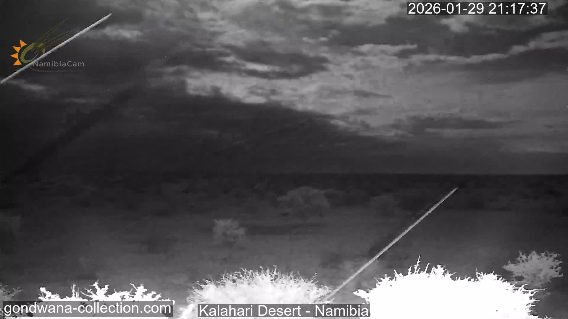 Natural Life in the Kalahari Desert (Gondwana Kalahari Park)  Live Cam - Mariental, Hardap, Namibia