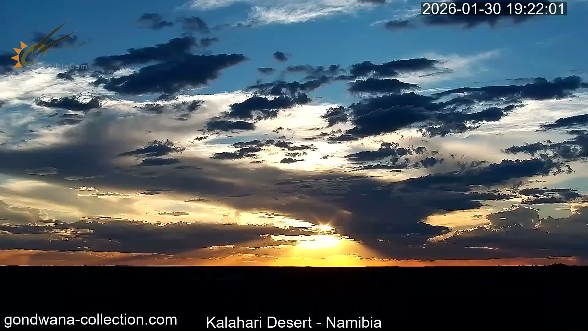 Natural Life in the Kalahari Desert (Gondwana Kalahari Park)  Live Cam - Mariental, Hardap, Namibia