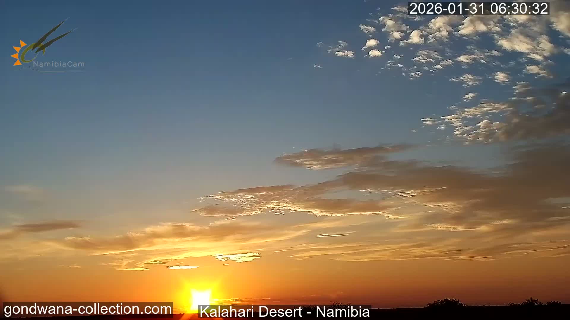 Natural Life in the Kalahari Desert (Gondwana Kalahari Park)  Live Cam - Mariental, Hardap, Namibia