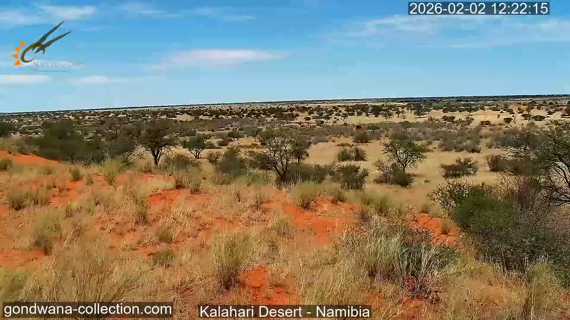 Natural Life in the Kalahari Desert (Gondwana Kalahari Park)  Live Cam - Mariental, Hardap, Namibia