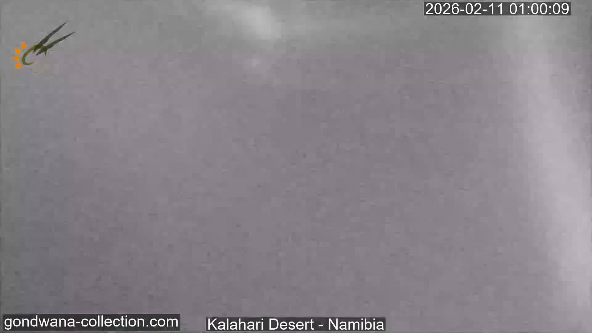 Natural Life in the Kalahari Desert (Gondwana Kalahari Park)  Live Cam - Mariental, Hardap, Namibia