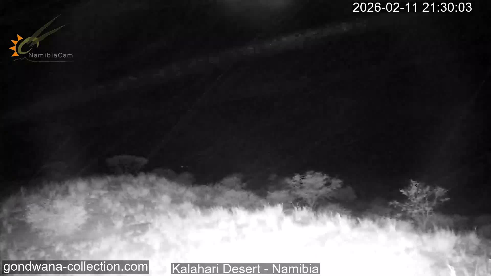 Natural Life in the Kalahari Desert (Gondwana Kalahari Park)  Live Cam - Mariental, Hardap, Namibia
