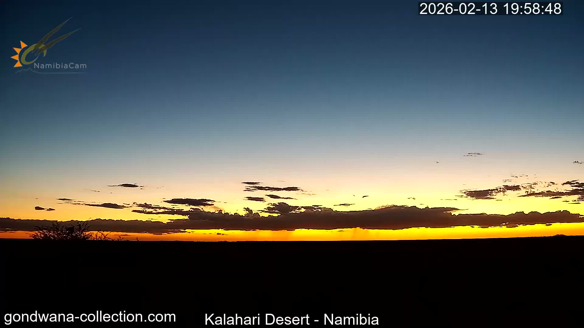 Natural Life in the Kalahari Desert (Gondwana Kalahari Park)  Live Cam - Mariental, Hardap, Namibia