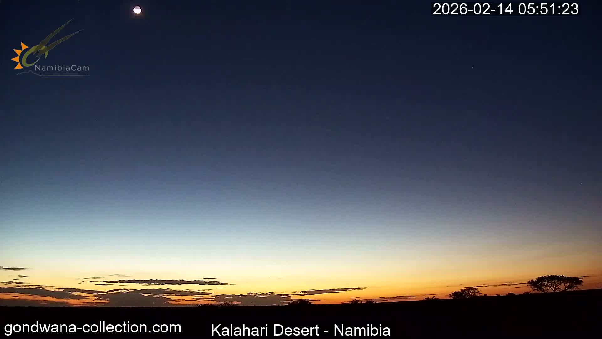 Natural Life in the Kalahari Desert (Gondwana Kalahari Park)  Live Cam - Mariental, Hardap, Namibia
