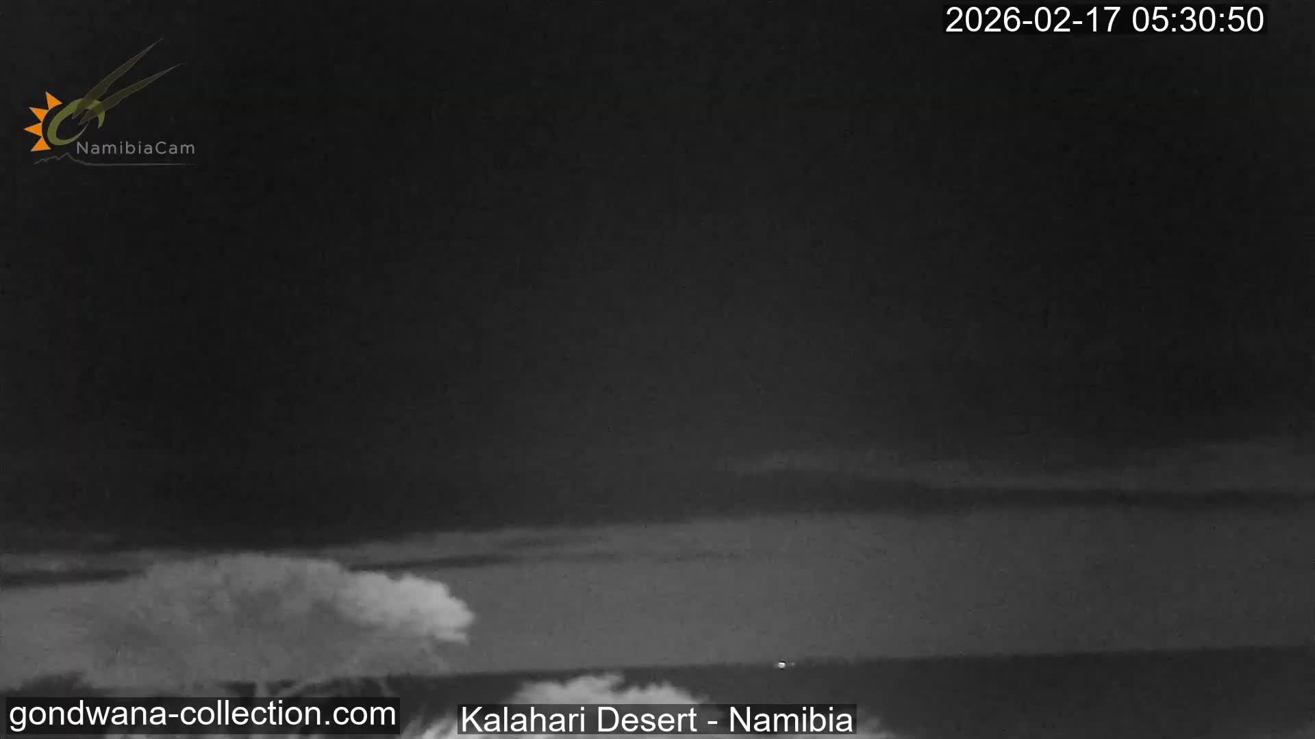 Natural Life in the Kalahari Desert (Gondwana Kalahari Park)  Live Cam - Mariental, Hardap, Namibia