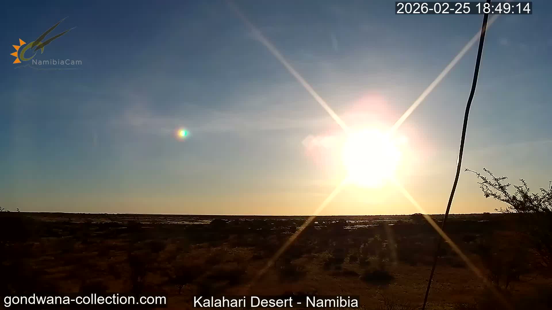 Natural Life in the Kalahari Desert (Gondwana Kalahari Park)  Live Cam - Mariental, Hardap, Namibia