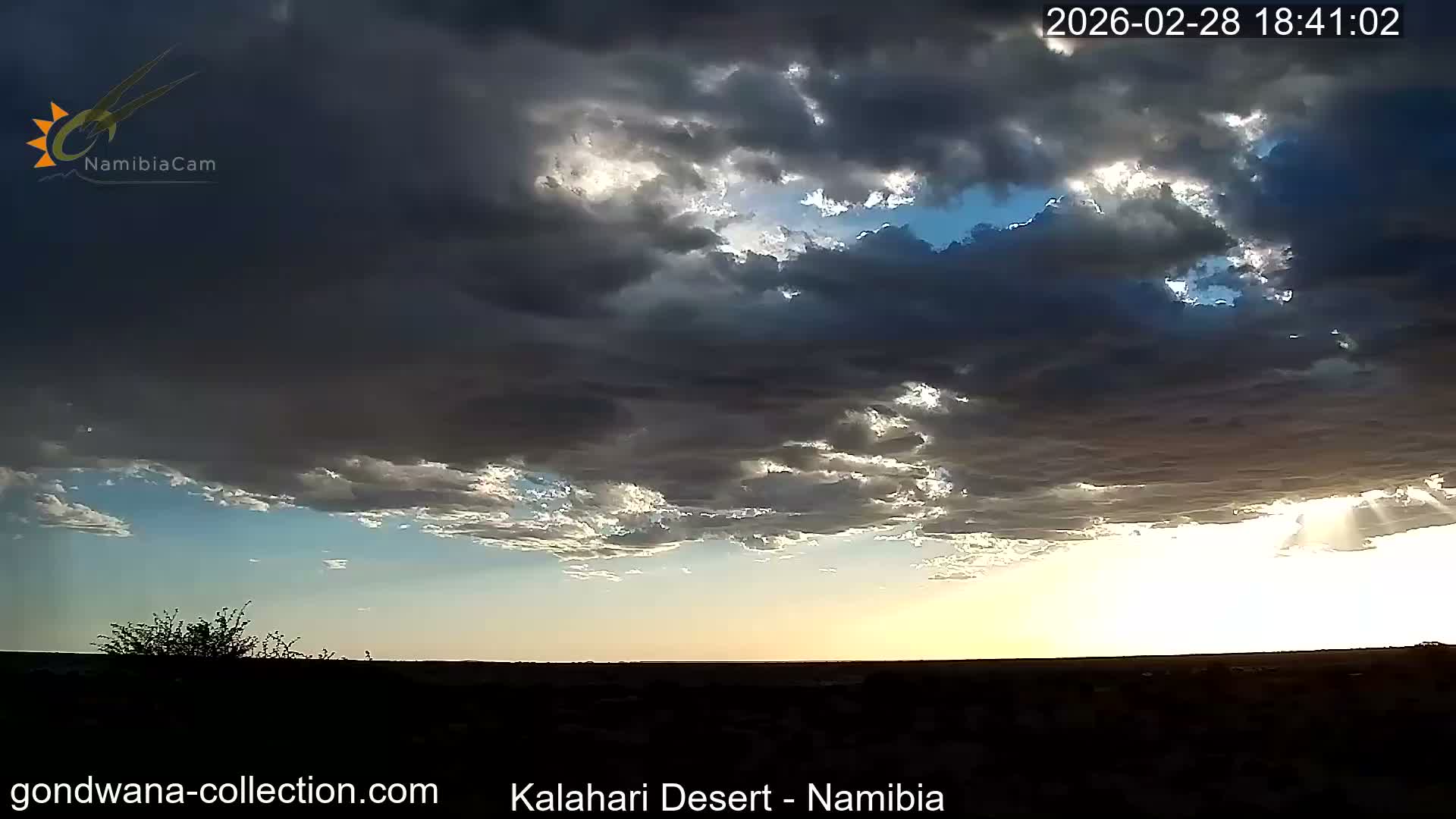 Natural Life in the Kalahari Desert (Gondwana Kalahari Park)  Live Cam - Mariental, Hardap, Namibia
