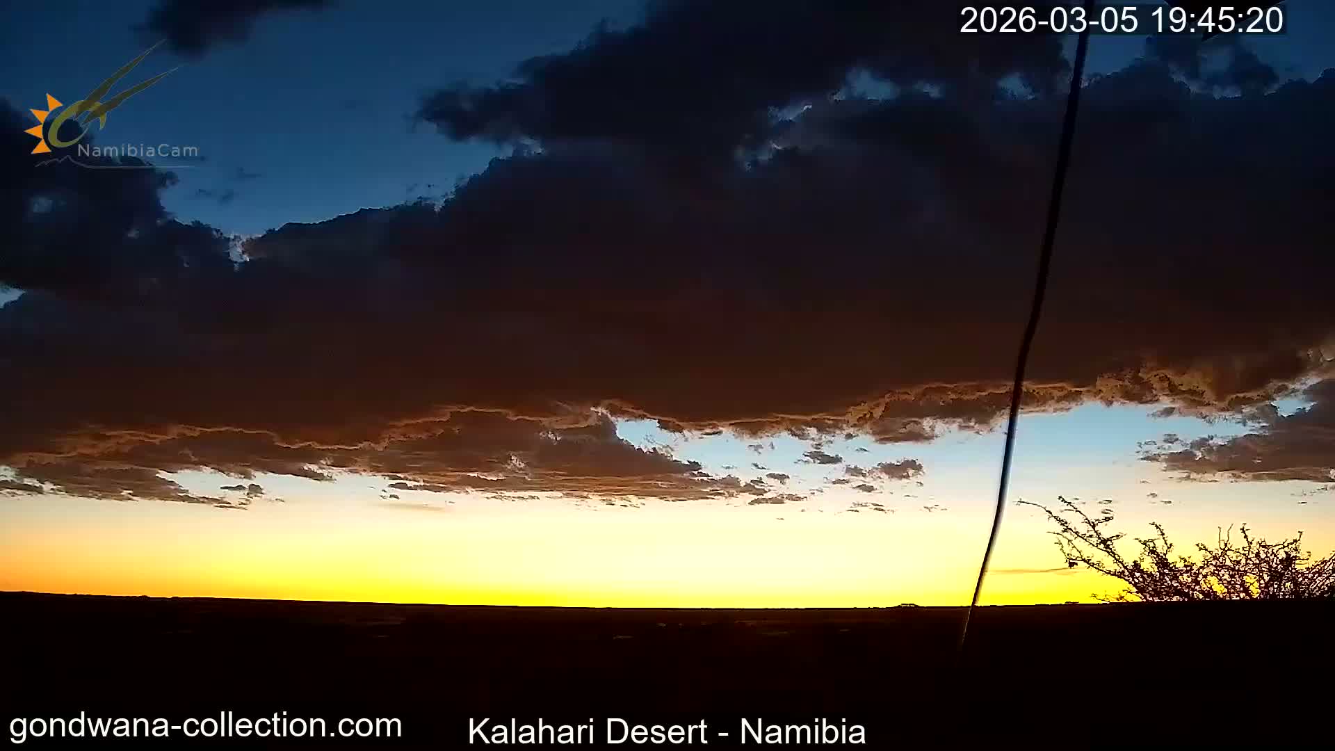 Natural Life in the Kalahari Desert (Gondwana Kalahari Park)  Live Cam - Mariental, Hardap, Namibia