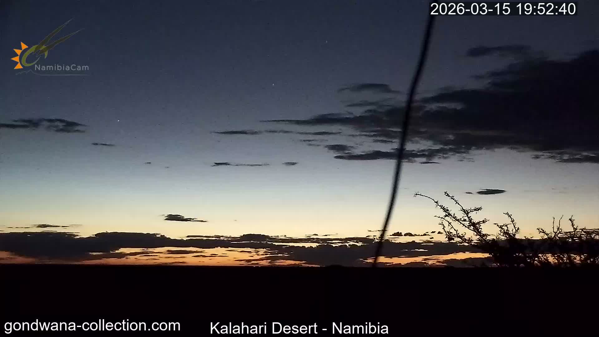 Natural Life in the Kalahari Desert (Gondwana Kalahari Park)  Live Cam - Mariental, Hardap, Namibia