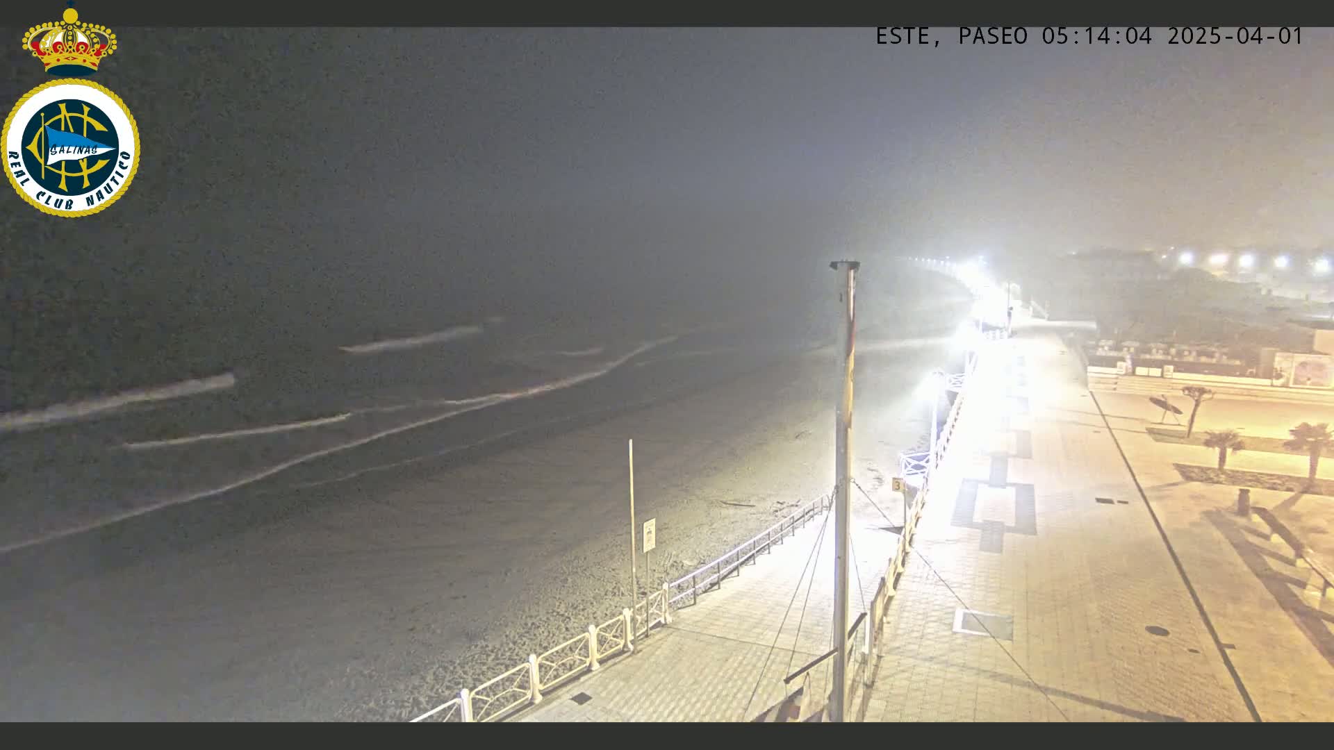 A nighttime, foggy view of a beach with gently rolling waves, a paved walkway lined with lights, and palm trees in the distance.
