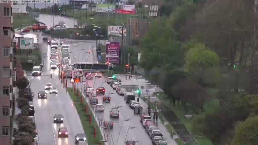 A wet, multi-lane road with moderate traffic flows through a city, lined with trees and buildings.