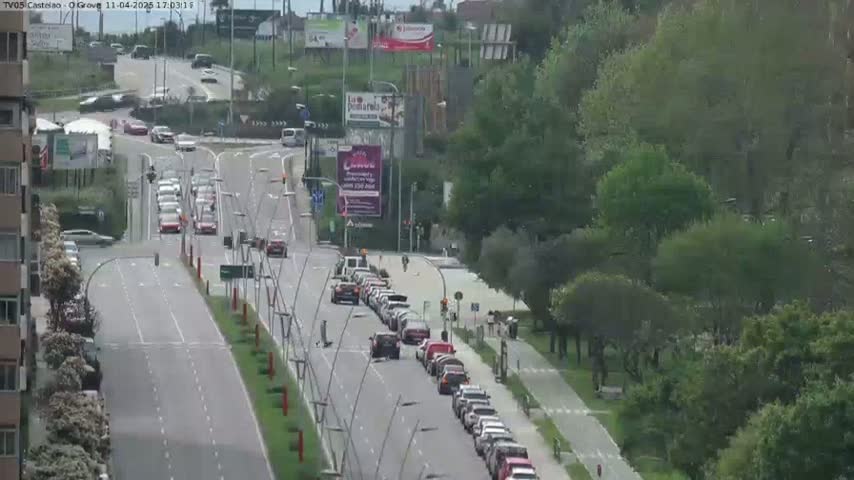 A long line of cars is stopped on a multi-lane road next to a tree-lined bike path on an overcast day.