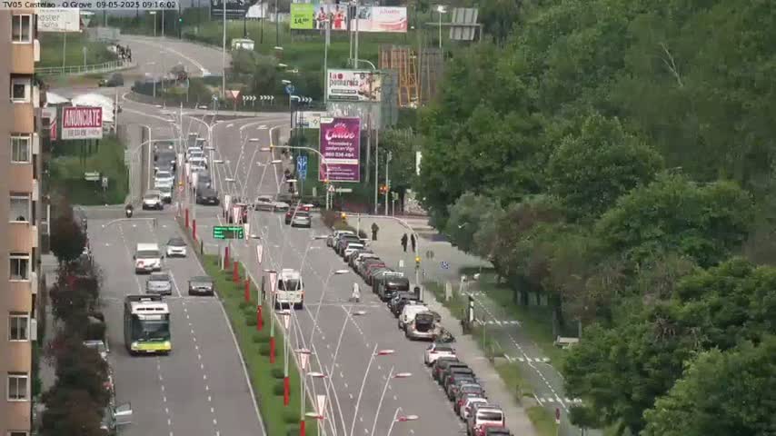 A roadway with moderate traffic flows through a city, flanked by lush green trees under a clear sky.