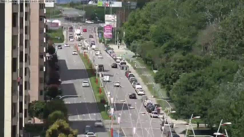 A sunny day reveals a multi-lane road with light traffic flowing between tall buildings and lush green trees.