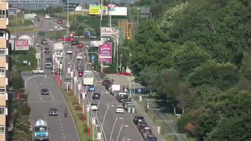 A highway scene shows a multitude of vehicles traveling in both directions, surrounded by lush green trees under a clear sky.