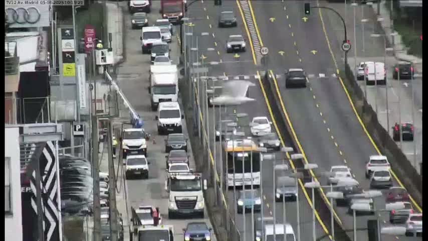 A seagull flies over a busy highway with moderate traffic under overcast skies.