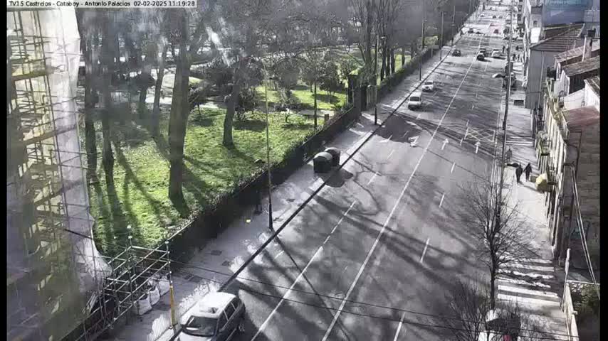 A sunny day overlooking a tree-lined park next to a city street with several cars and pedestrians.