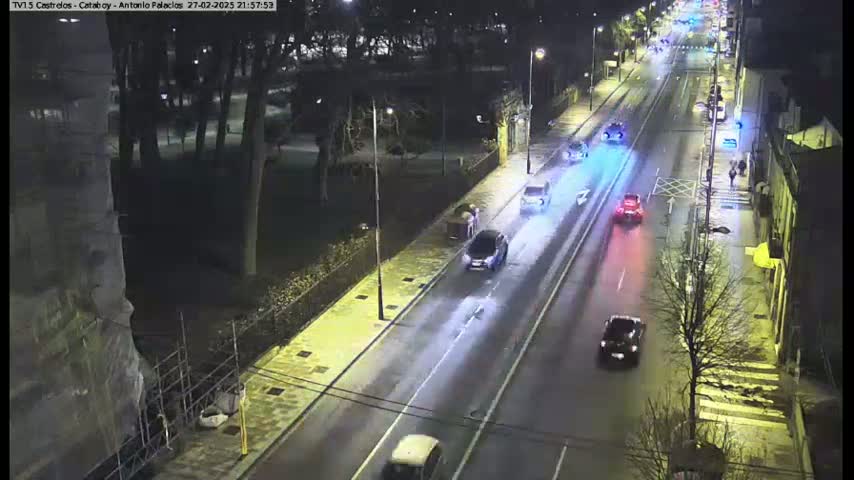 A nighttime overhead view shows several cars driving down a wet city street lined with trees and buildings.