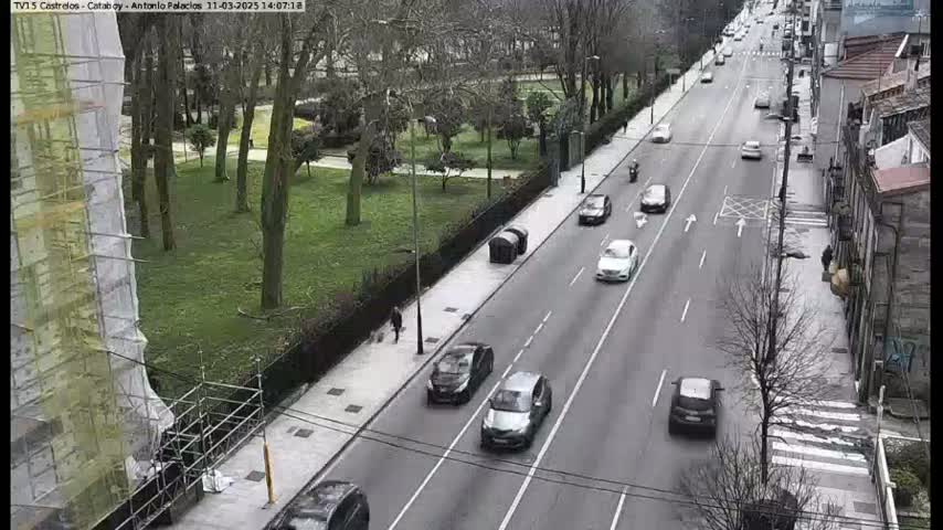 A city street with several cars driving on it next to a park with leafless trees under an overcast sky.