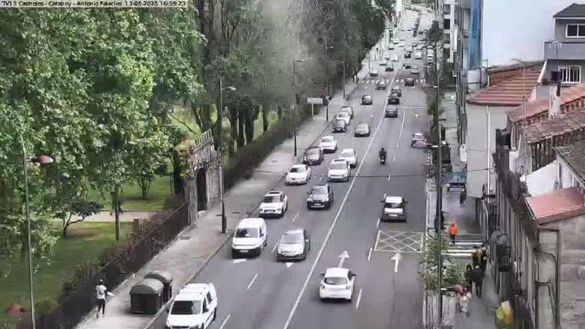 A city street with moderate traffic flows between buildings and a park under an overcast sky.
