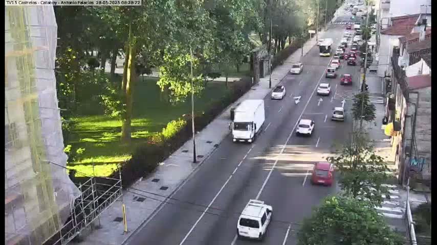 A sunny day shows a busy city street with multiple vehicles driving in both directions, passing through a tree-lined area.