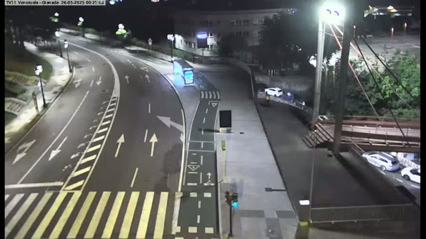 A nighttime aerial view of a roadway intersection with a crosswalk, bike lane, and several parked cars, illuminated by streetlights.