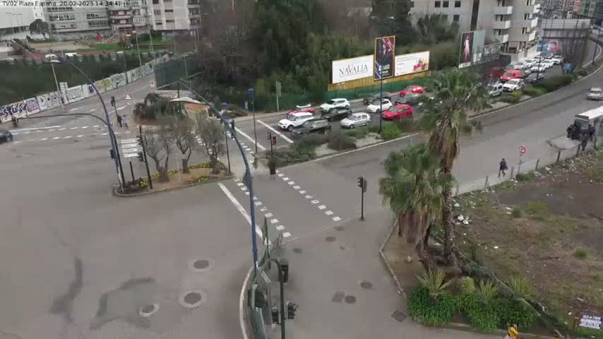 A wet, city street intersection shows several cars and pedestrians, with palm trees and buildings in the background.